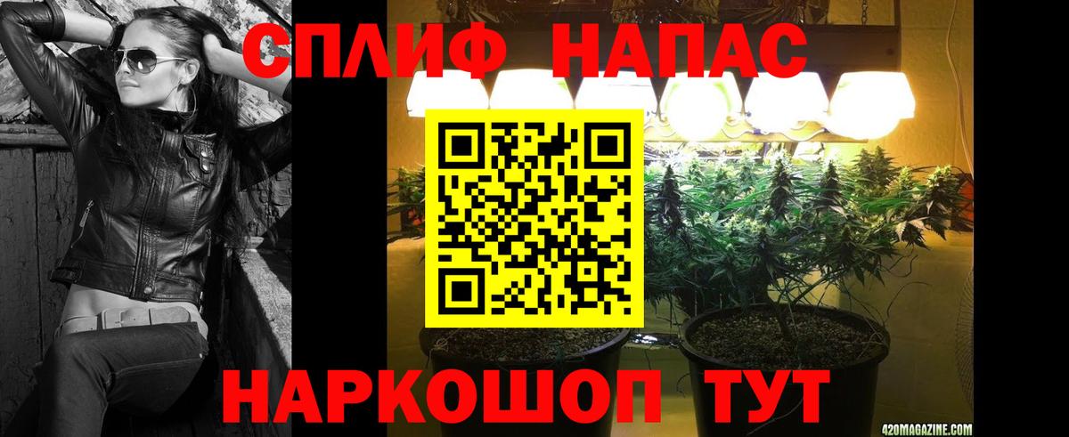 Бошки марихуана VHQ Выборг